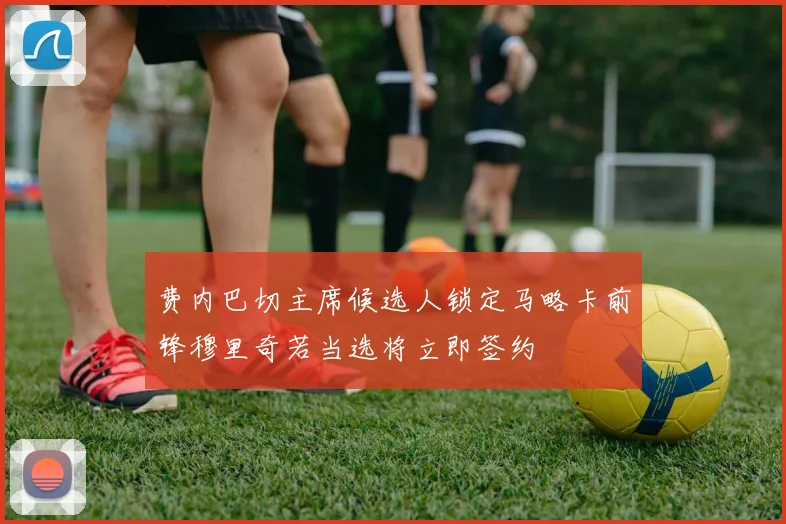 费内巴切主席候选人锁定马略卡前锋穆里奇若当选将立即签约